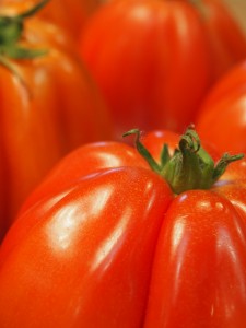 Des tomates bio locales dans les cantines franciliennes