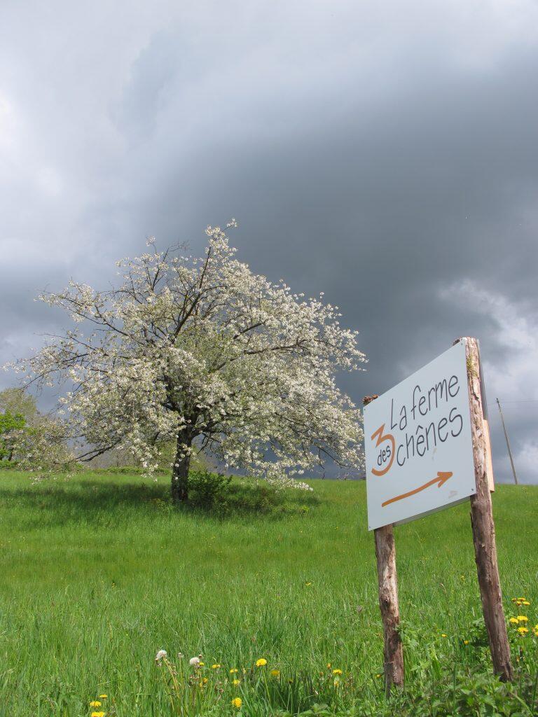 Ferme ouverte aux 3 chênes
