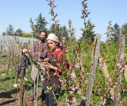 Visite de Jarditerre