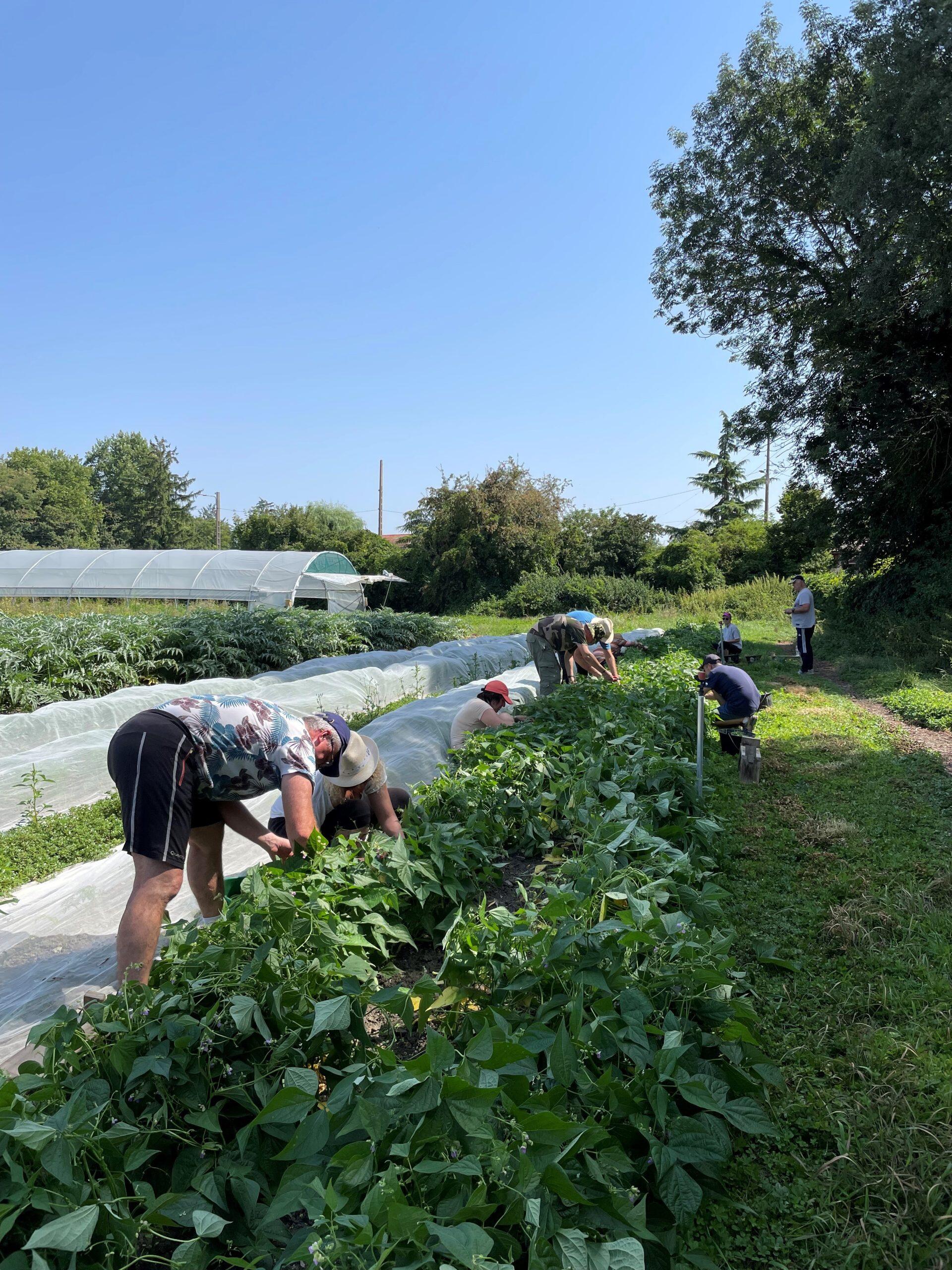 Portes ouvertes au jardin des Pot&rsquo;iront