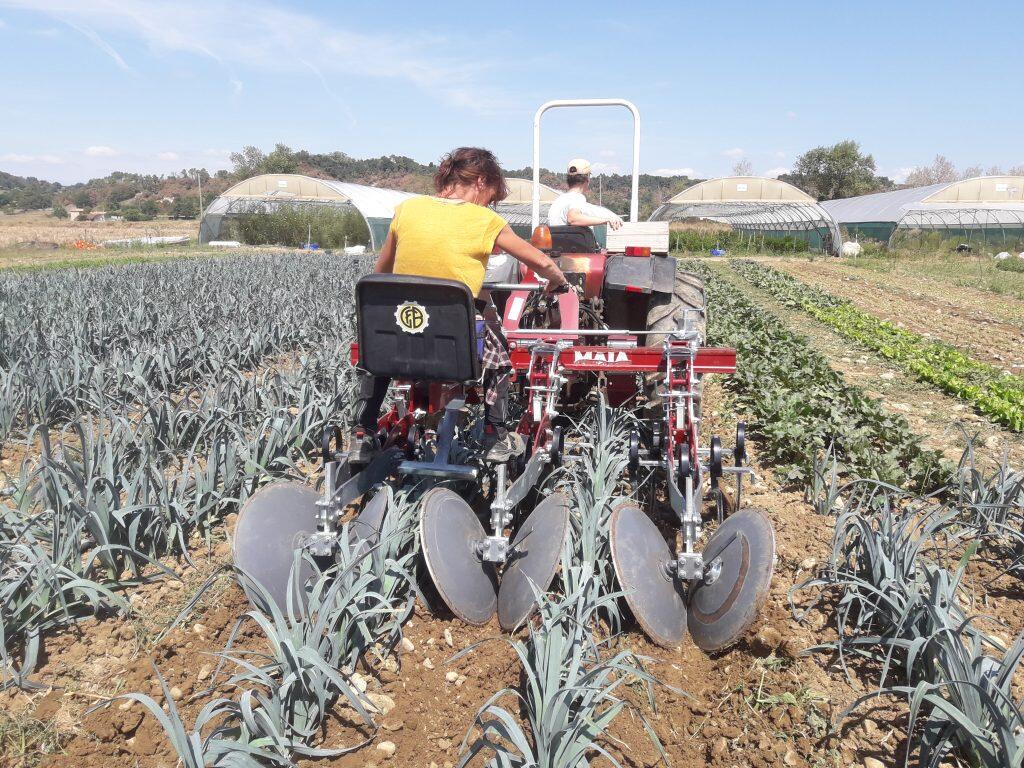 A la découverte d&rsquo;une ferme paysanne et biologique par l&rsquo;association Parenthèse/Graine de Cocagne