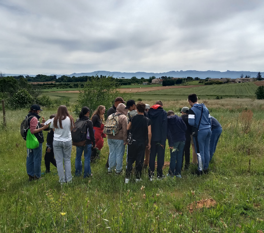 Groupe de collégiens réunis autour d'un intervenant dans un champ, pendant une visite de ferme