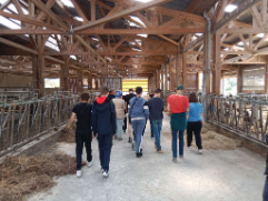 Collégiens visitant une étable en bois lors d'une sortie pédagogique à la ferme